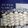 /msite/products/detail/productid/57631167/id/677584.html